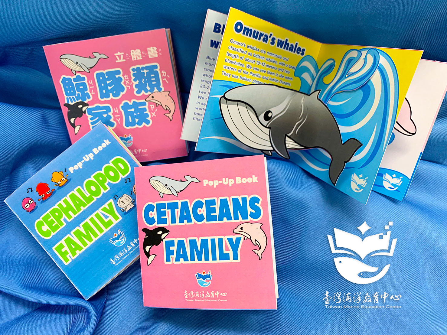 Whale and Dolphin Pop-up Cards