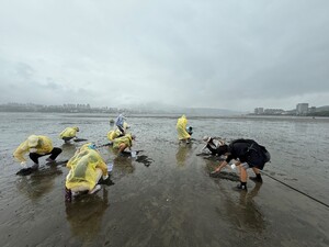 Participants enthusiastically dig for clams, carefully observing them and then returning them to their original habitat