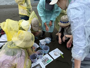 An instructor guides participants in identifying and categorizing the collected clams, with all specimens later returned to their natural habitats