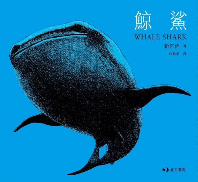 鯨鯊：Whale Shark