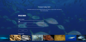 Fish Size Matters