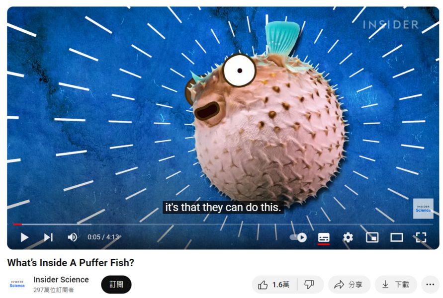 What's Inside A Puffer Fish