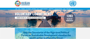 THE OCEAN CONFERENCE