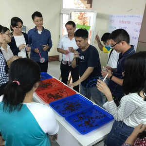 Experiencing teaching activities of the Yunlin session.(Open new window/png file)