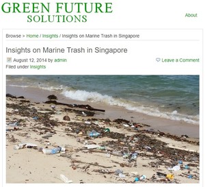 Insights on Marine Trash in Singapore（Singapore）