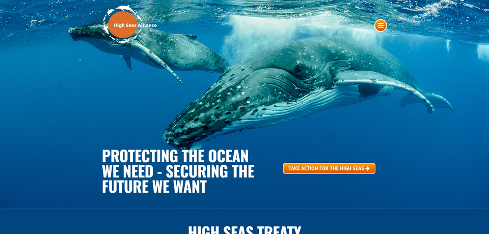 High Seas Alliance(HSA)