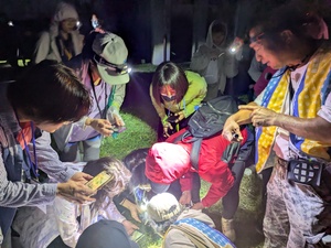 Night Visit to Chengxi Windbreak Forests to Observe Land Crab Ecology