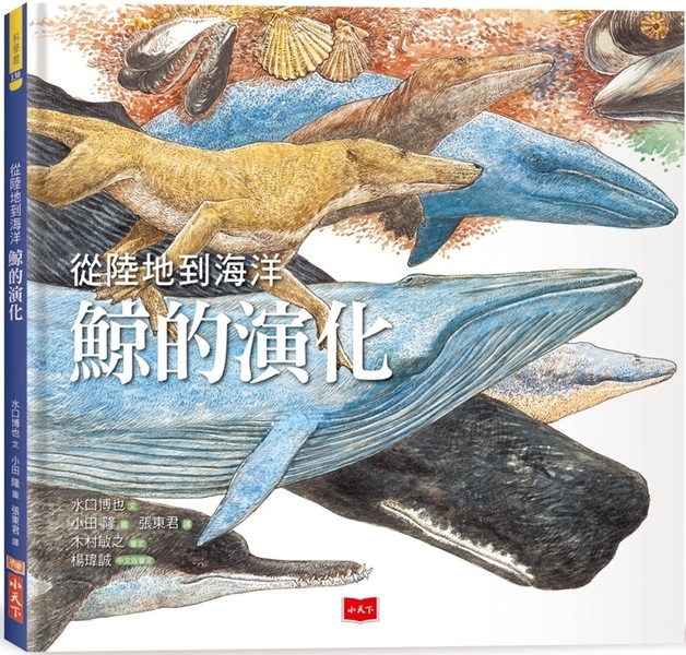 從陸地到海洋 鯨的演化