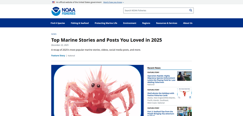 Top Marine Stories and Posts You Loved in 2025