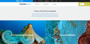 Oceana