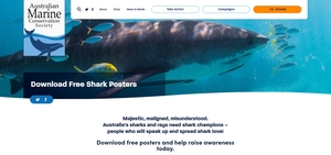 The Australian Marine Conservation Society (AMCS)