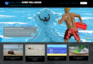 Rip Current Survival Guide