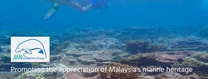 Marine Group, Malaysian Nature Society Selangor Branch（Malaysian）