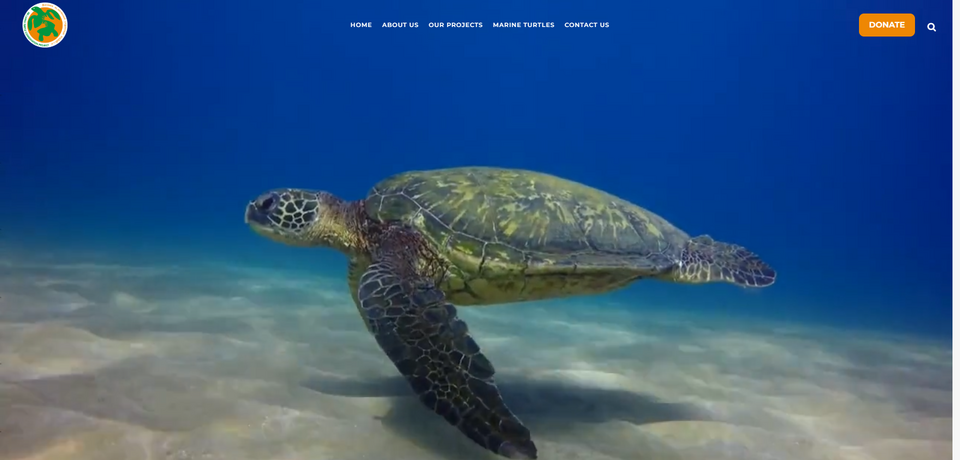 The Sri Lanka Turtle Conservation Project(TCP)〔Sri Lanka〕