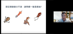 Prof. Liao Yun-Chih explaining how to distinguish cephalopods.(Open new window/jpg file)